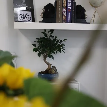 La Luxury Thetis * 라리사