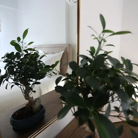 La Luxury Thetis Апартаменты